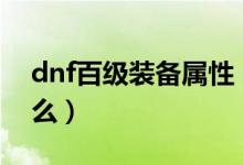 dnf百级装备属性（dnf100级装备属性时什么）