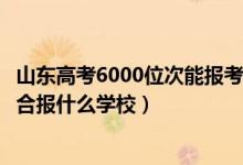 山东高考6000位次能报考学校（山东高考位次90000左右适合报什么学校）