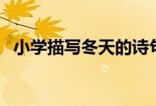 小学描写冬天的诗句（哪些诗句描写冬天）