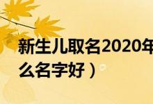 新生儿取名2020年好名字大全（新生儿叫什么名字好）