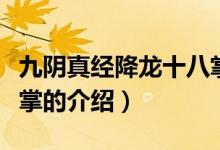九阴真经降龙十八掌（关于九阴真经降龙十八掌的介绍）