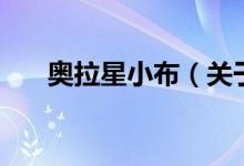 奥拉星小布（关于奥拉星小布的介绍）