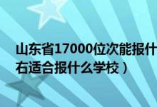 山东省17000位次能报什么学校（山东高考位次160000左右适合报什么学校）