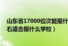 山东省17000位次能报什么学校（山东高考位次140000左右适合报什么学校）