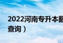 2022河南专升本翻译一分一段表（成绩排名查询）