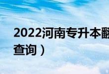 2022河南专升本翻译一分一段表（成绩排名查询）