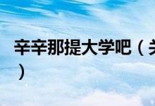 辛辛那提大学吧（关于辛辛那提大学吧的介绍）