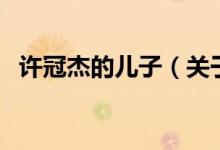 许冠杰的儿子（关于许冠杰的儿子的介绍）