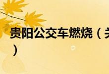 贵阳公交车燃烧（关于贵阳公交车燃烧的介绍）