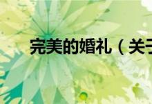 完美的婚礼（关于完美的婚礼的介绍）