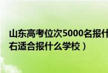 山东高考位次5000名报什么学校（山东高考位次220000左右适合报什么学校）