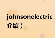 johnsonelectric（关于johnsonelectric的介绍）