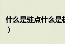 什么是驻点什么是极值点（什么是驻点和拐点）