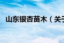山东银杏苗木（关于山东银杏苗木的介绍）