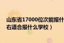 山东省17000位次能报什么学校（山东高考位次190000左右适合报什么学校）