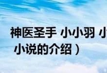 神医圣手 小小羽 小说（关于神医圣手 小小羽 小说的介绍）