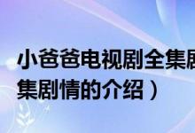 小爸爸电视剧全集剧情（关于小爸爸电视剧全集剧情的介绍）
