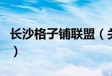 长沙格子铺联盟（关于长沙格子铺联盟的介绍）