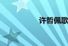 许哲佩歌词（许哲佩）