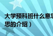 大学预科班什么意思（关于大学预科班什么意思的介绍）