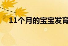 11个月的宝宝发育标准（需要注意什么）