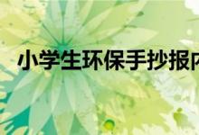 小学生环保手抄报内容（环保手抄报资料）