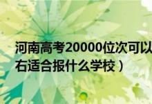 河南高考20000位次可以上大学（河南高考位次220000左右适合报什么学校）