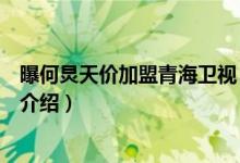 曝何炅天价加盟青海卫视（关于曝何炅天价加盟青海卫视的介绍）