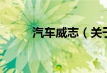 汽车威志（关于汽车威志的介绍）