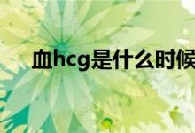 血hcg是什么时候检查（血hcg是什么）