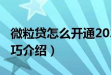 微粒贷怎么开通2020（2020年微粒贷开通技巧介绍）