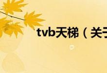 tvb天梯（关于tvb天梯的介绍）