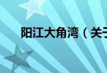 阳江大角湾（关于阳江大角湾的介绍）