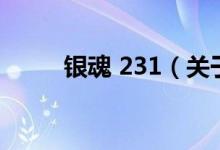 银魂 231（关于银魂 231的介绍）
