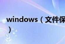 windows（文件保护介绍 了解功能工作方式）