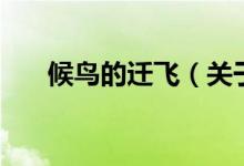 候鸟的迁飞（关于候鸟的迁飞的介绍）