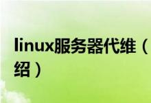 linux服务器代维（关于linux服务器代维的介绍）