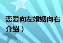 恋爱向左婚姻向右（关于恋爱向左婚姻向右的介绍）