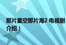 那片星空那片海2 电视剧（关于那片星空那片海2 电视剧的介绍）