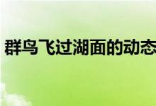 群鸟飞过湖面的动态描写（这五句写得很好）