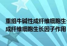 重组牛碱性成纤维细胞生长因子滴眼液说明书(重组牛碱性成纤维细胞生长因子作用)
