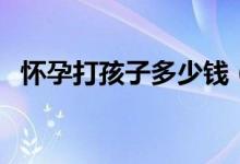 怀孕打孩子多少钱(打胎一般要花多少钱)