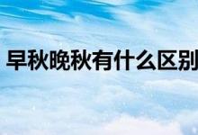 早秋晚秋有什么区别（早秋晚秋区别有哪些）