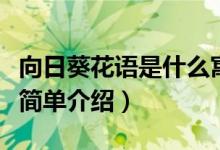 向日葵花语是什么寓意是啥（向日葵花语寓意简单介绍）