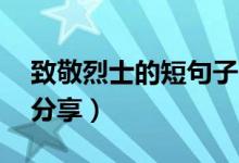 致敬烈士的短句子10字（致敬烈士的短句子分享）