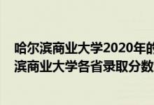 哈尔滨商业大学2020年的录取分数线是多少（2021年哈尔滨商业大学各省录取分数线是多少）