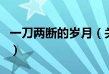 一刀两断的岁月（关于一刀两断的岁月的介绍）