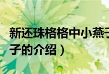 新还珠格格中小燕子（关于新还珠格格中小燕子的介绍）