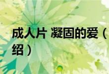 成人片 凝固的爱（关于成人片 凝固的爱的介绍）