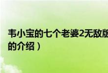 韦小宝的七个老婆2无敌版（关于韦小宝的七个老婆2无敌版的介绍）
